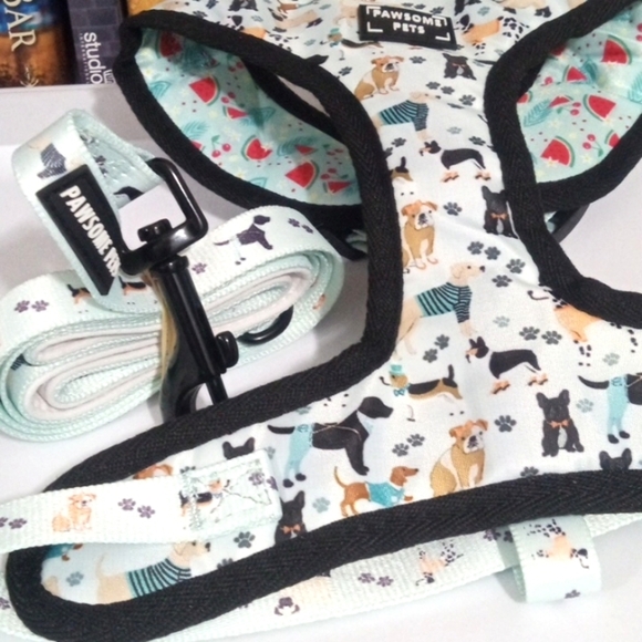 PAWSOME PET DOG HARNESS AND LEASH 2PC SET SIZE MEDIUM NWOT - Picture 5 of 9